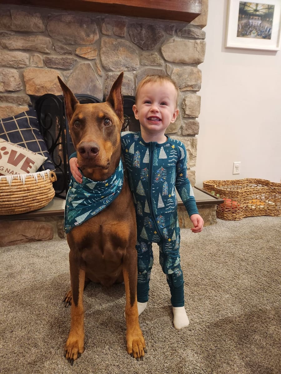 Logan with the family Doberman